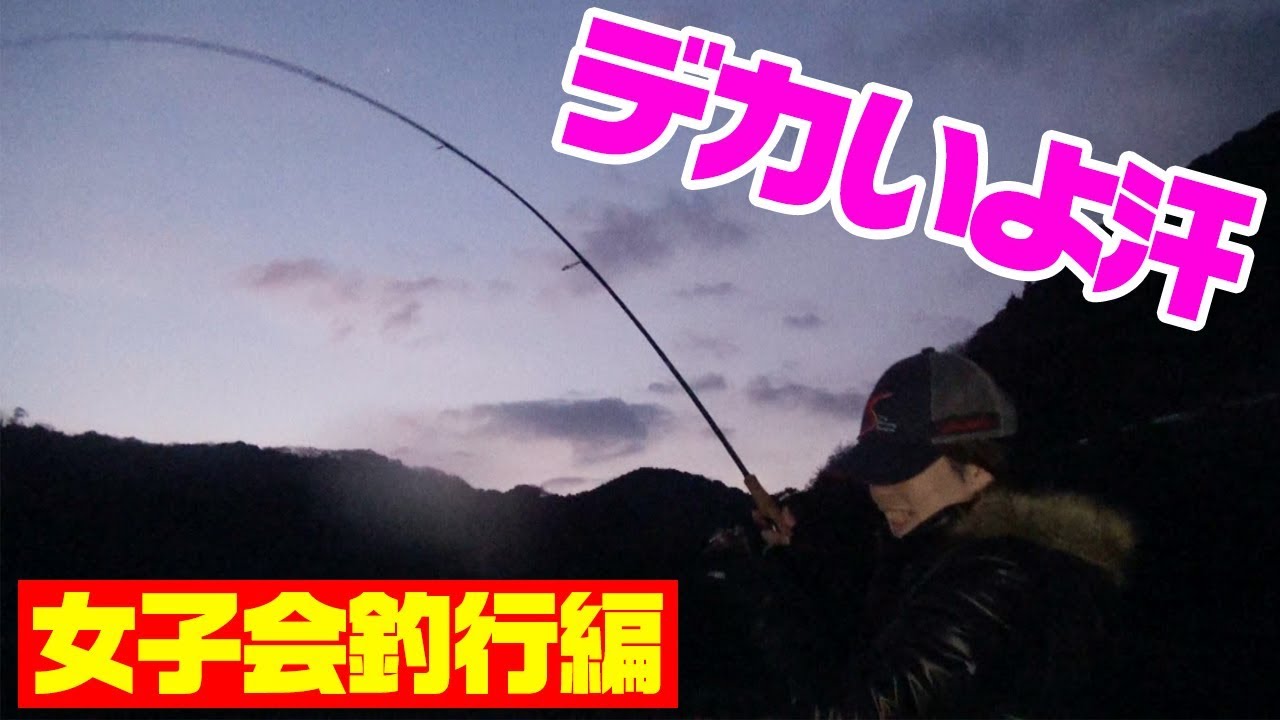 徳之島編 魚の住処に直接エサを落とすと 釣りいろは 無料釣り動画tv