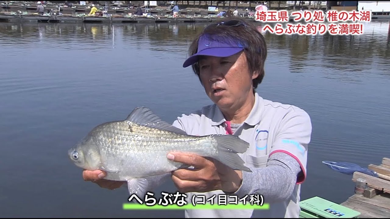 椎の木湖へらぶな釣り 村田基 伊藤さとし競演 埼玉県羽生市 後編 おとな釣り倶楽部 釣り動画tv