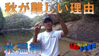 まるりんのmy Game 無料釣り動画tv