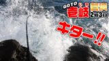 メダカに負ける 痛くて腰が動かない 腰骨折2か所手術後のリハビリチャレンジ 釣りいろは 無料釣り動画tv