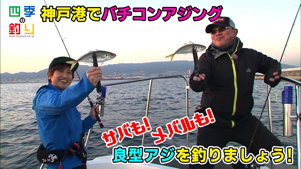 神戸港でバチコンアジング 良型アジを釣りましょう 四季の釣り 無料釣り動画tv