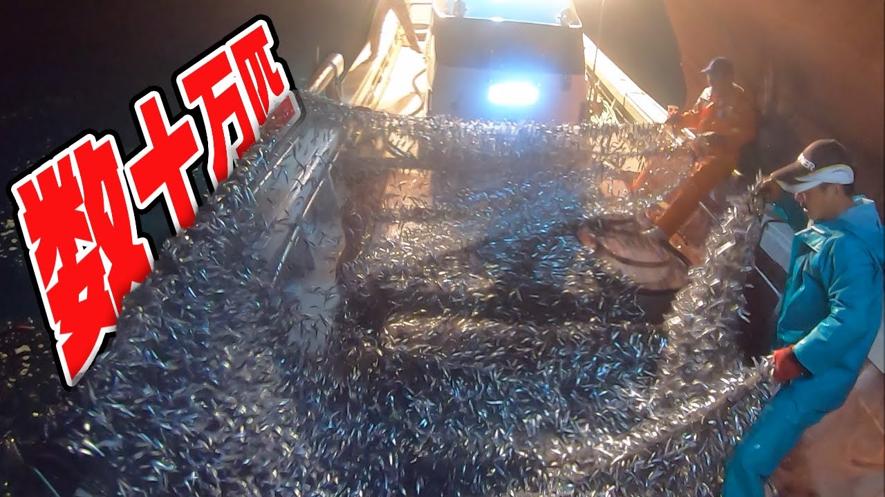 網びっしり 凄まじい漁が甑島に存在した 釣りいろは 釣り動画tv