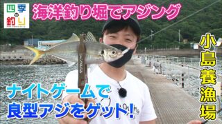 四季の釣り の最新 最高な釣り動画をチェック 釣り動画tv