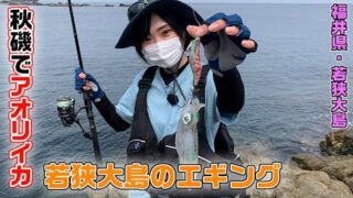 ガッ釣り関西 釣り動画tv